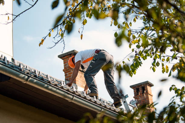Best Storm Damage Roof Repair  in Conrad, MT